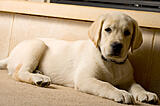 Click image for larger version

Name:	DSC_1595.jpg
Views:	221
Size:	202.8 KB
ID:	793726
