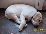 Click image for larger version

Name:	Sacked Out.jpg
Views:	137
Size:	1.23 MB
ID:	793728