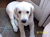 Click image for larger version

Name:	2nd Day Home.jpg
Views:	144
Size:	1.10 MB
ID:	793729