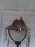 Click image for larger version

Name:	Picture 027.jpg
Views:	116
Size:	591.8 KB
ID:	793938