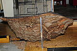 Click image for larger version

Name:	_DSC3991.JPG
Views:	171
Size:	1.20 MB
ID:	793992