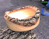 Click image for larger version

Name:	Photo_071309_009.jpg
Views:	170
Size:	282.1 KB
ID:	793997