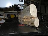 Click image for larger version

Name:	Avocado3-sm.JPG
Views:	270
Size:	95.2 KB
ID:	794166