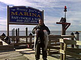 Click image for larger version

Name:	IMG00124.jpg
Views:	214
Size:	123.6 KB
ID:	794416