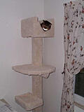Click image for larger version

Name:	lucky_tree1.jpg
Views:	306
Size:	41.0 KB
ID:	794507