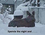 Click image for larger version

Name:	MmeMoose 1.jpg
Views:	133
Size:	77.2 KB
ID:	794580