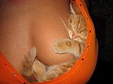 Click image for larger version

Name:	lucky.jpg
Views:	159
Size:	112.2 KB
ID:	796837