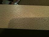 Click image for larger version

Name:	Maple 001.jpg
Views:	166
Size:	1.11 MB
ID:	797228