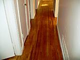Click image for larger version

Name:	100_2785.JPG
Views:	235
Size:	110.3 KB
ID:	797346