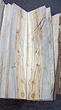 Click image for larger version

Name:	Maple2.jpg
Views:	310
Size:	45.8 KB
ID:	797921