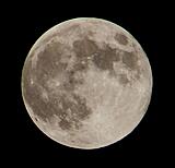 Click image for larger version

Name:	Harvest Moon.jpg
Views:	289
Size:	81.8 KB
ID:	798753