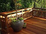 Morning Light 1