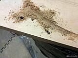 IMG 20150131 150837