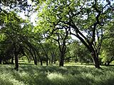 IMG 0163 m