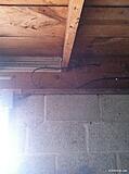 photo1