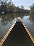 View from the bow. On the Big River, near House Springs, MO.